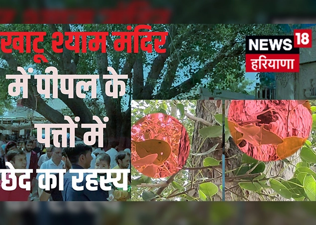 peepal ke patto pr khatu shyam ka chamatkar