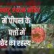 khatu shyam ke chamatkar