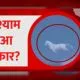 khatu shyam ke chamatkar