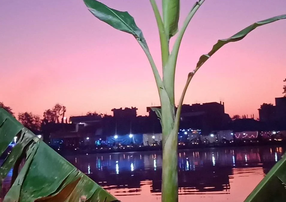 छठ पूजा 2026 | Chhath Puja 2026